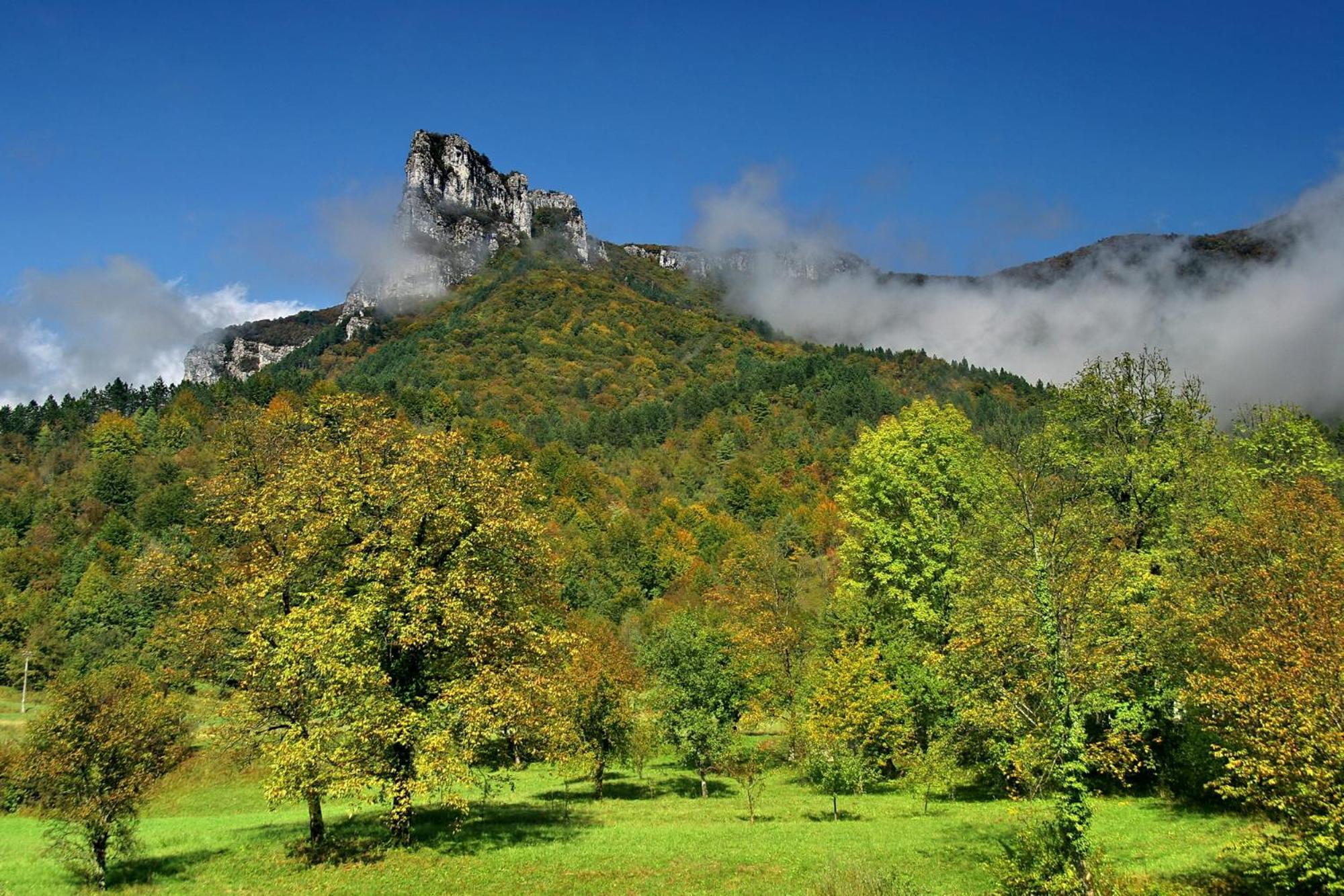 Hotel Kovac Osilnica Bagian luar foto